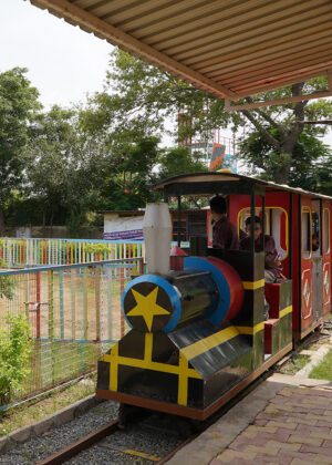Toy Train at Joygaon (Joygaon Express)