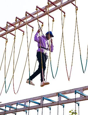 High rope course at Joygaon