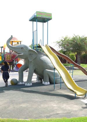 elephant slide at Joygaon